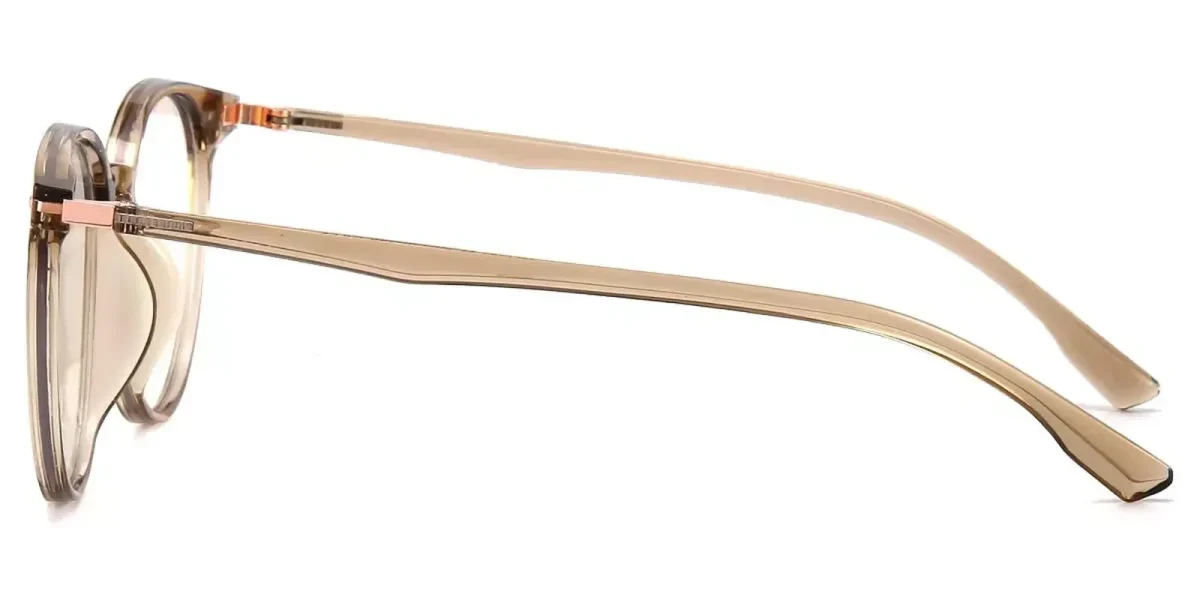 XY8047 Brown Glasses 3