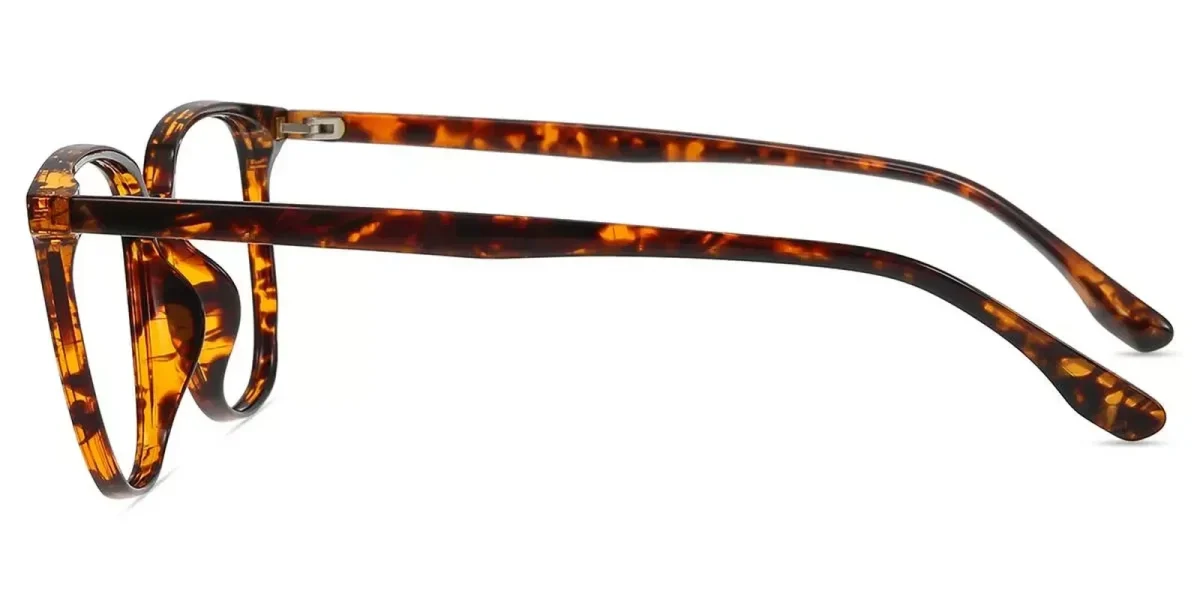 XY8050 Tortoise Glasses 3