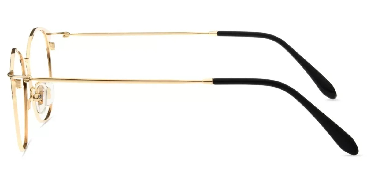 XY8019 Black, Gold Glasses 2